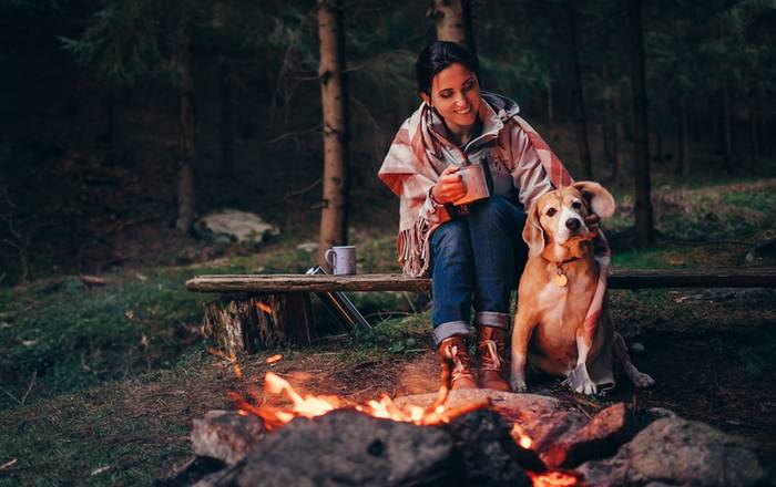 In den Wäldern haben Besitzer und Vierbeiner viel Spaß zusammen. (Foto: shutterstock - Soloviova Liudmyla)