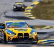 Turner Motorsport feiert Doppelsieg und Titelgewinne in (Foto: BMW Group)